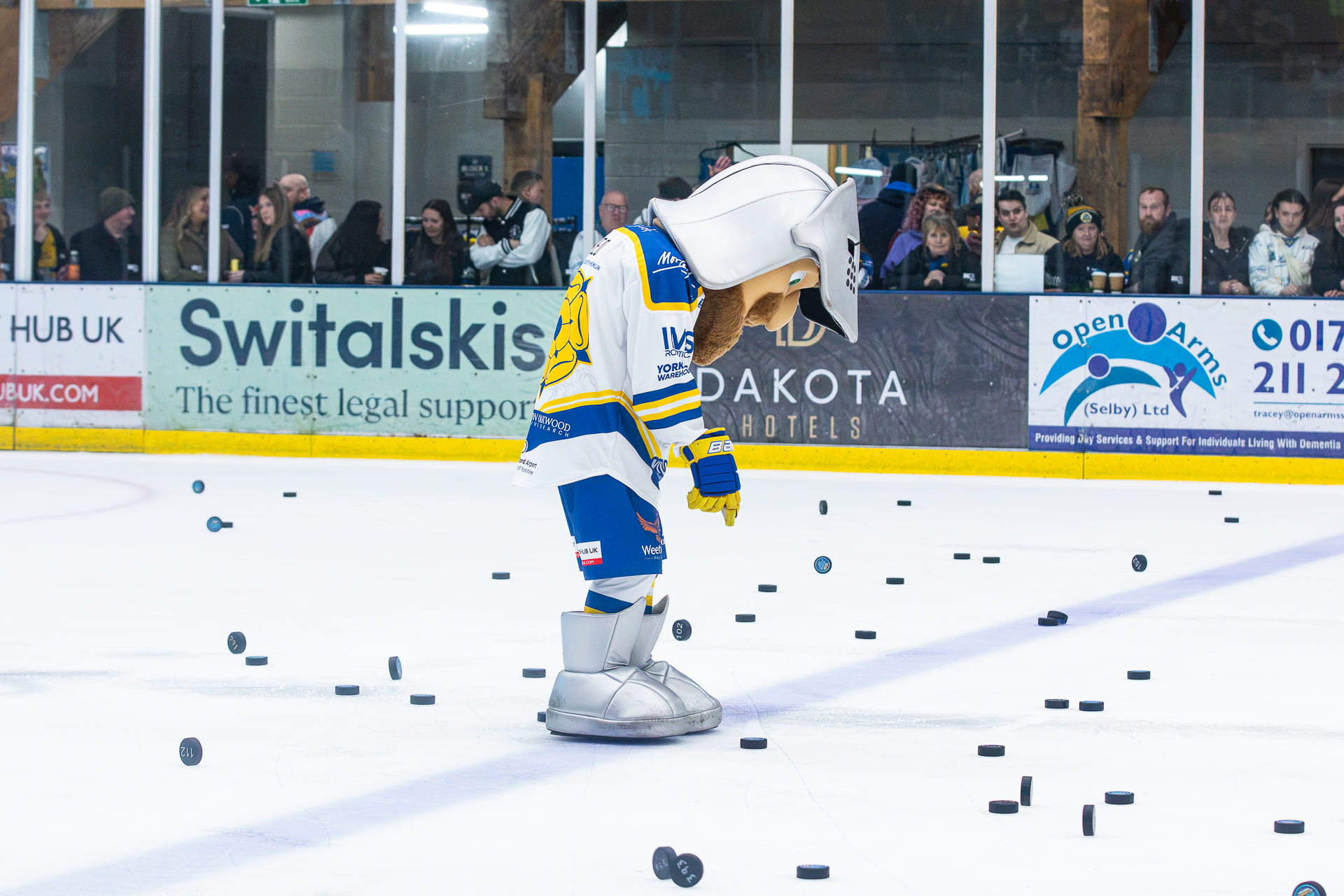 Leo the Leeds Knights Mascot